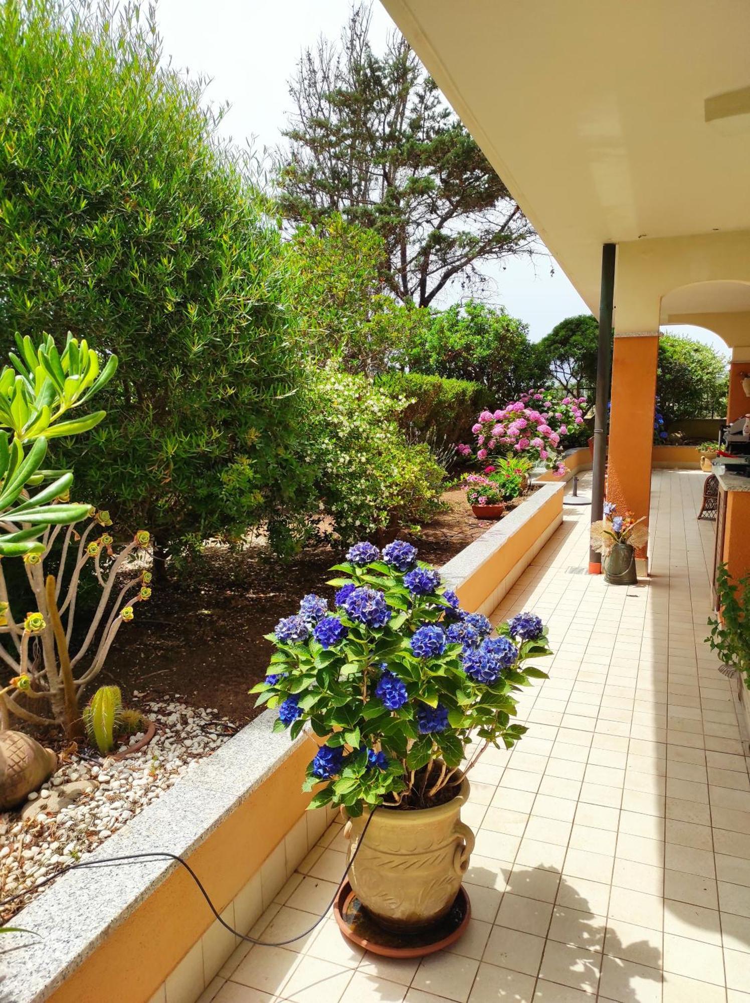 فيلا Casa Al Mare Con Giardino ألغيرو المظهر الخارجي الصورة