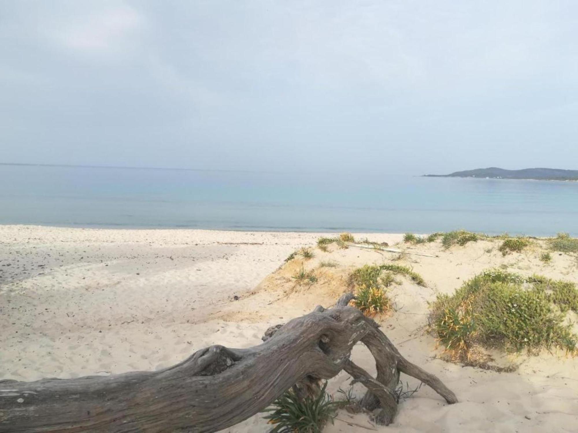 فيلا Casa Al Mare Con Giardino ألغيرو المظهر الخارجي الصورة
