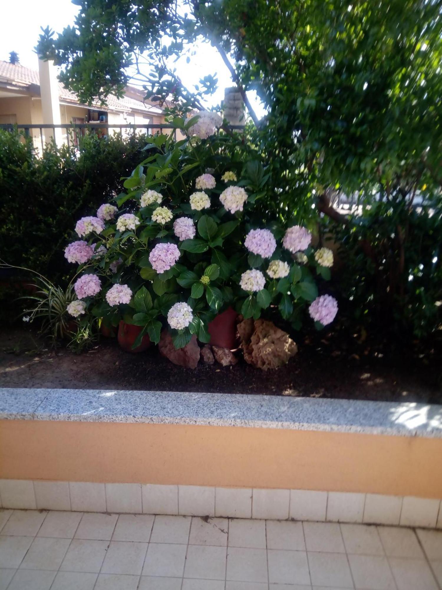 فيلا Casa Al Mare Con Giardino ألغيرو المظهر الخارجي الصورة