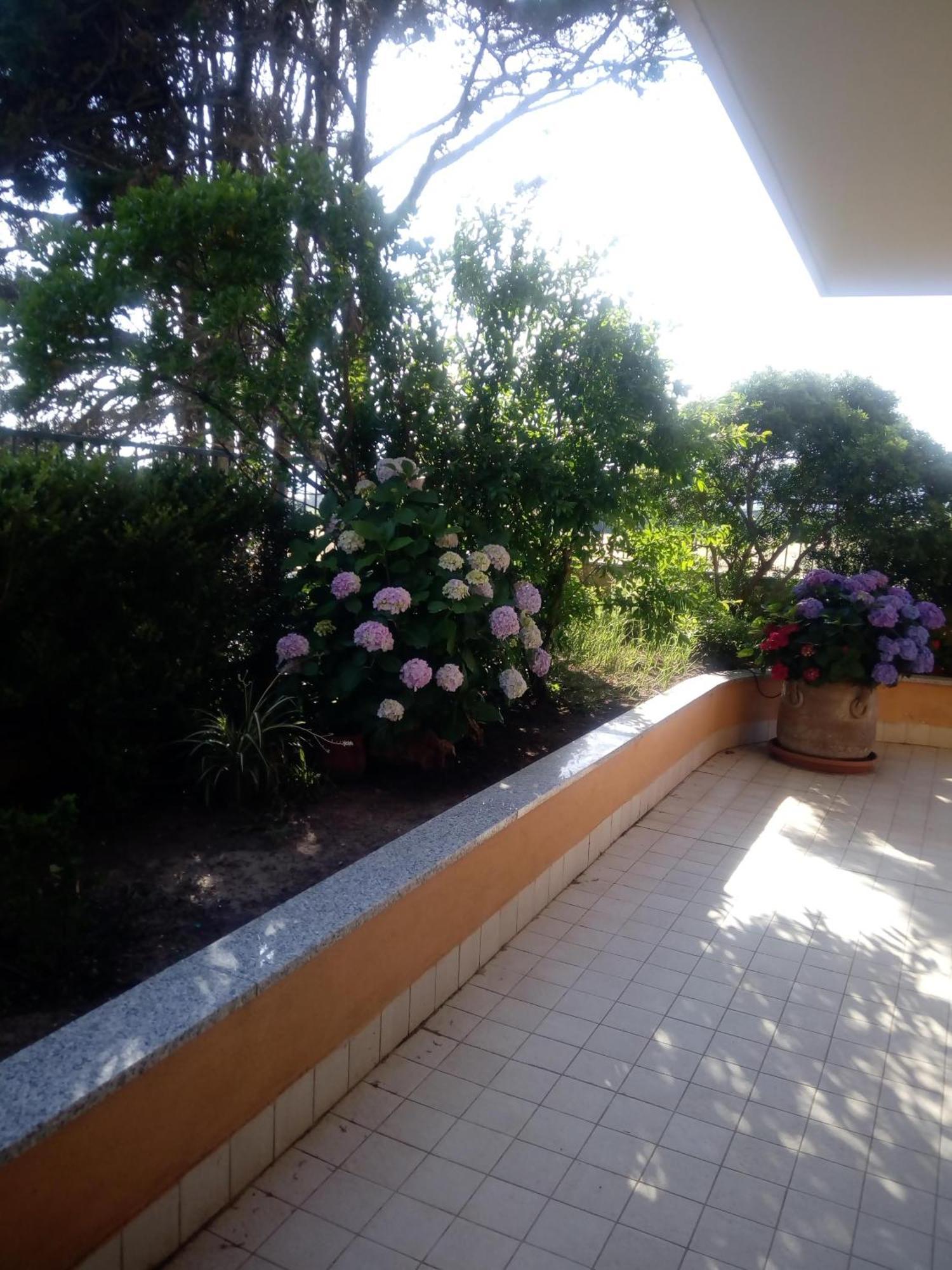 فيلا Casa Al Mare Con Giardino ألغيرو المظهر الخارجي الصورة